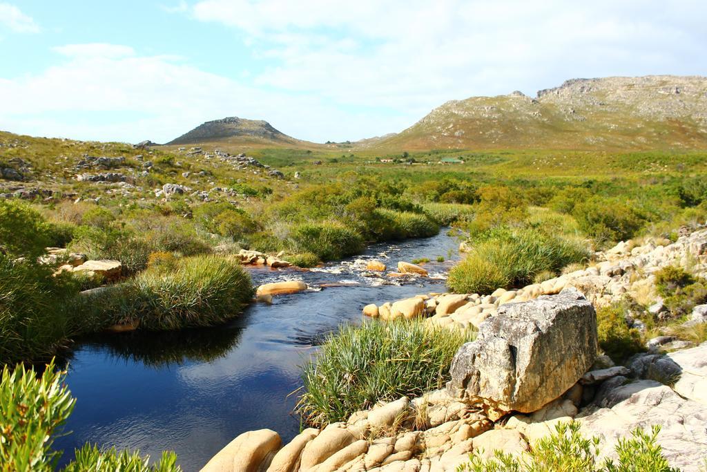The Trailhouse Hotel Betty's Bay Eksteriør billede